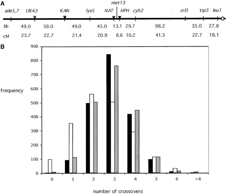 Figure 1.—