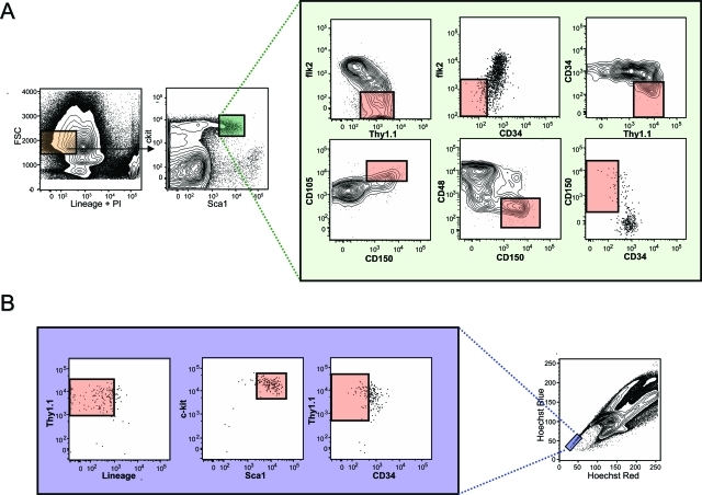 Figure 2-6946