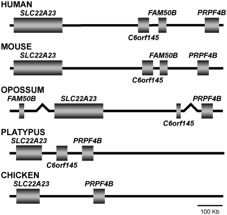 Figure 5.