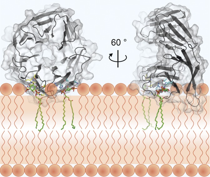 Fig. P1.