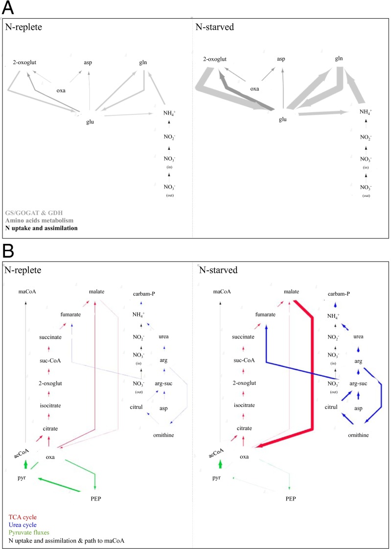 Fig. 4.