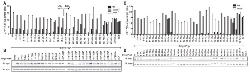 Fig. 4