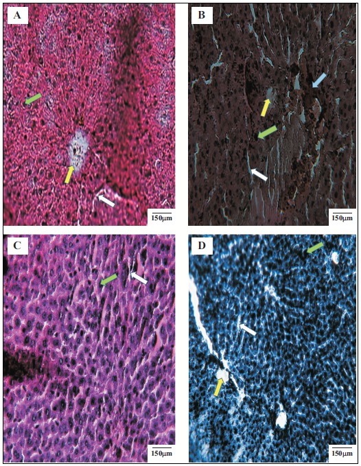 Fig. (5)