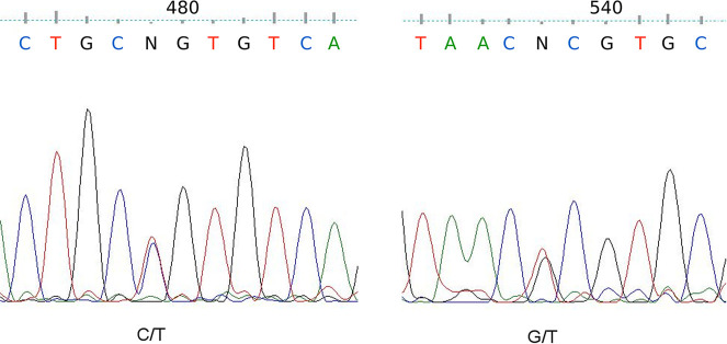 Fig 4