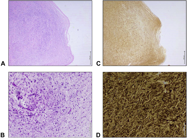 Figure 5