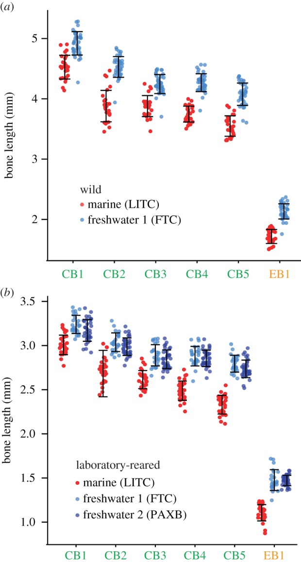 Figure 2.