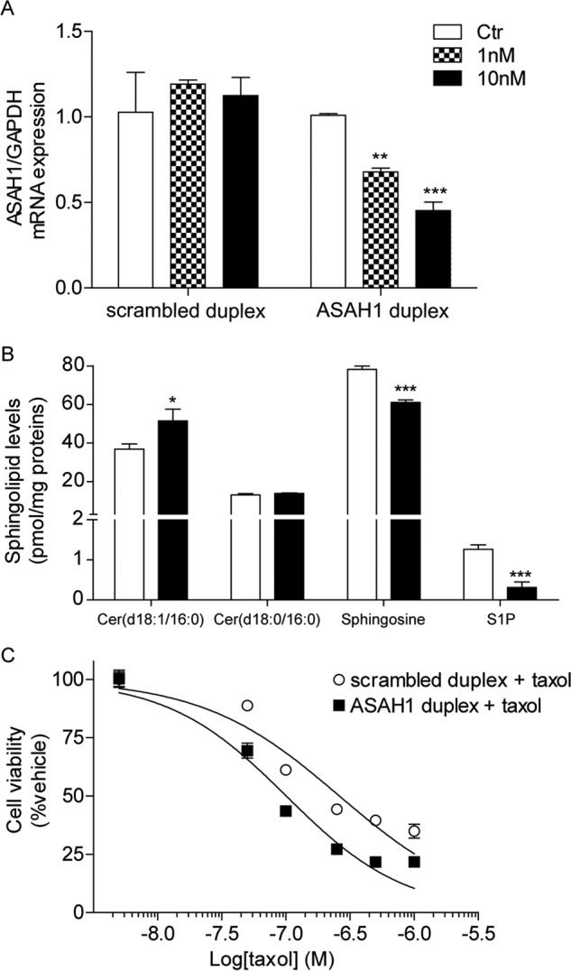 FIGURE 10.