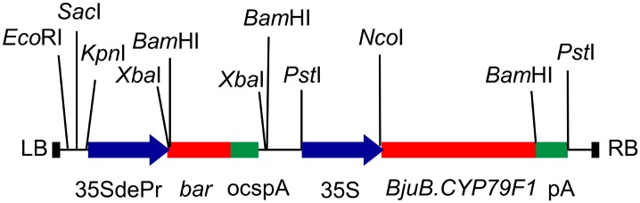 Fig 5