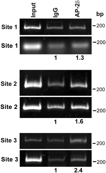 Fig. 6