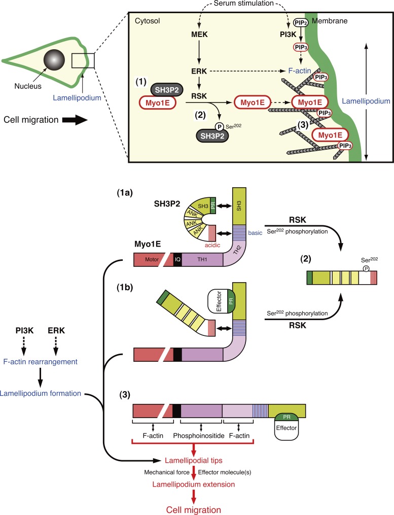 Figure 9.