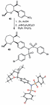 Scheme 9