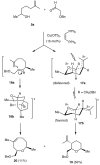 Scheme 4