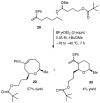 Scheme 5