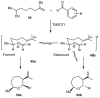 Scheme 10