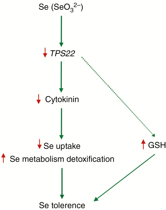 Fig. 10.