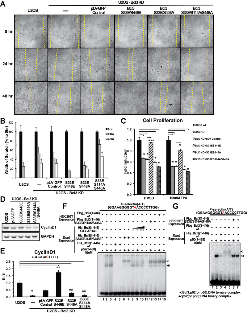 Figure 6: