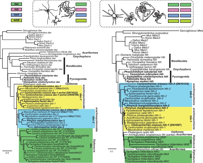 Fig. 7.