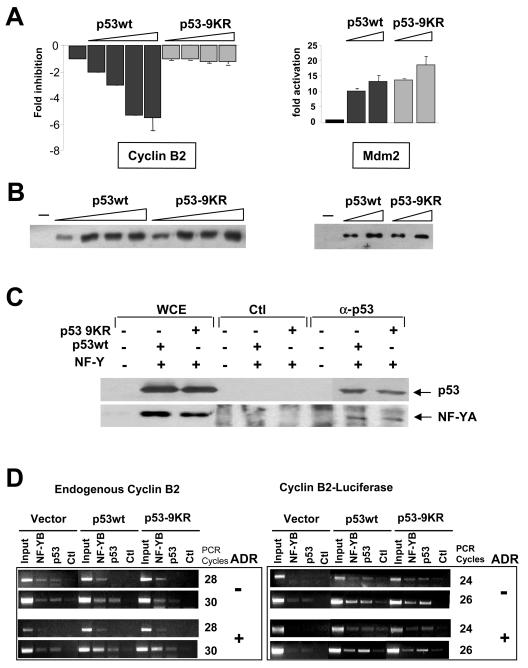 FIG. 9.