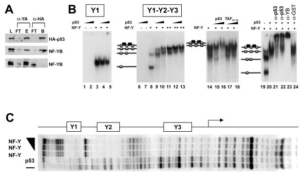 FIG. 3.