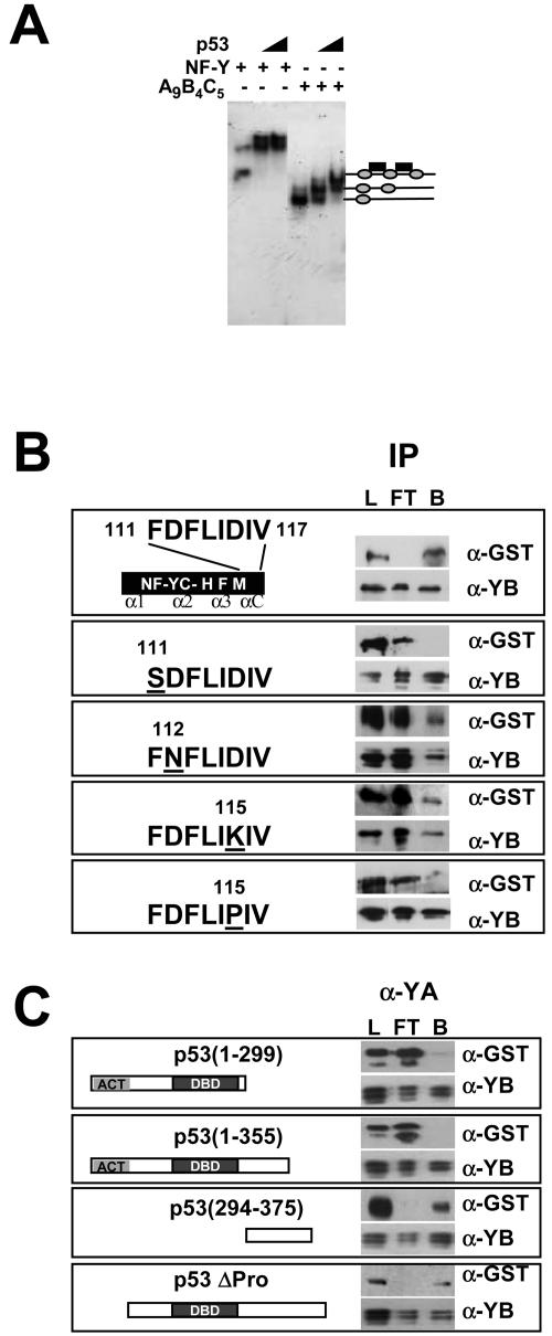 FIG. 5.