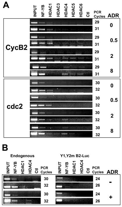 FIG. 7.