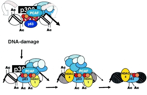 FIG. 10.