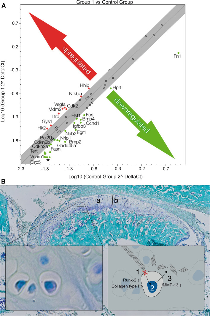 Fig. 7