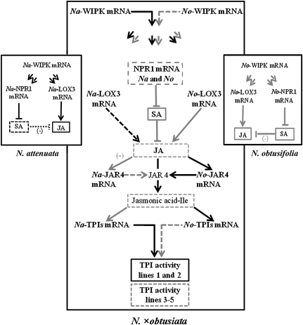 Figure 7.