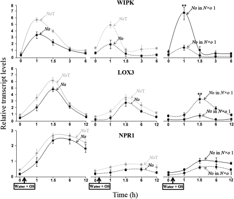 Figure 2.