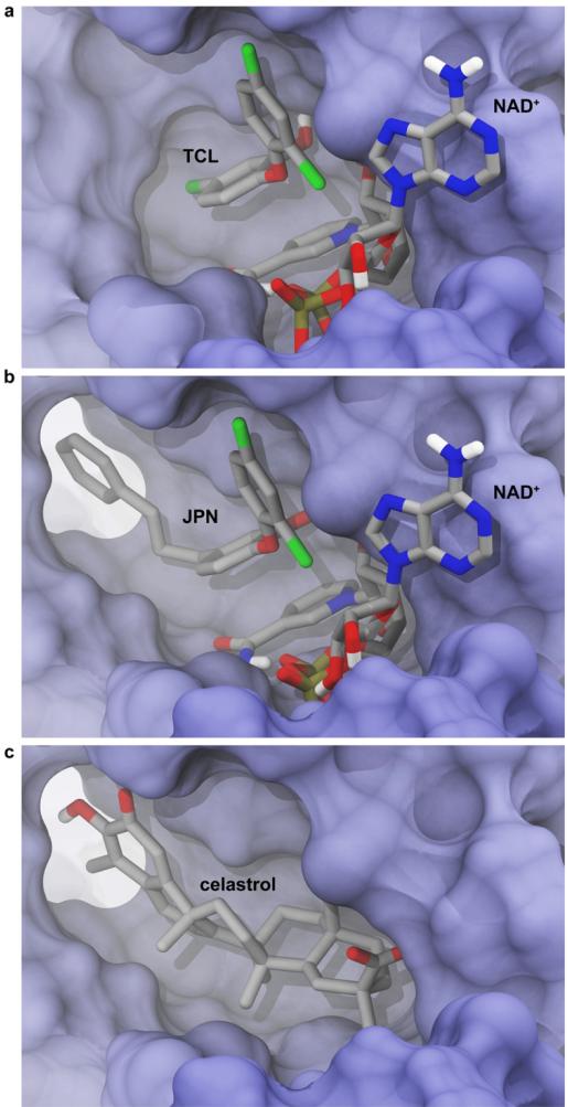 Figure 6