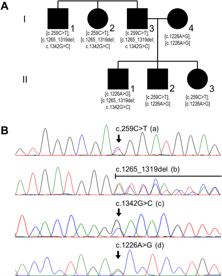 Fig. 1