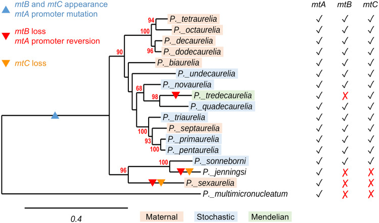 Fig. 2