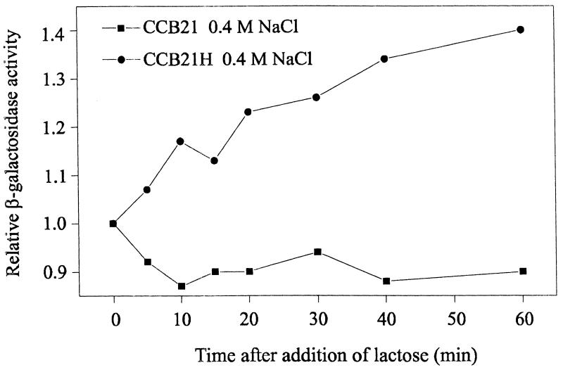 FIG. 6