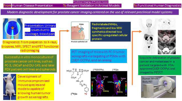 graphic file with name nihms-1872704-f0012.jpg