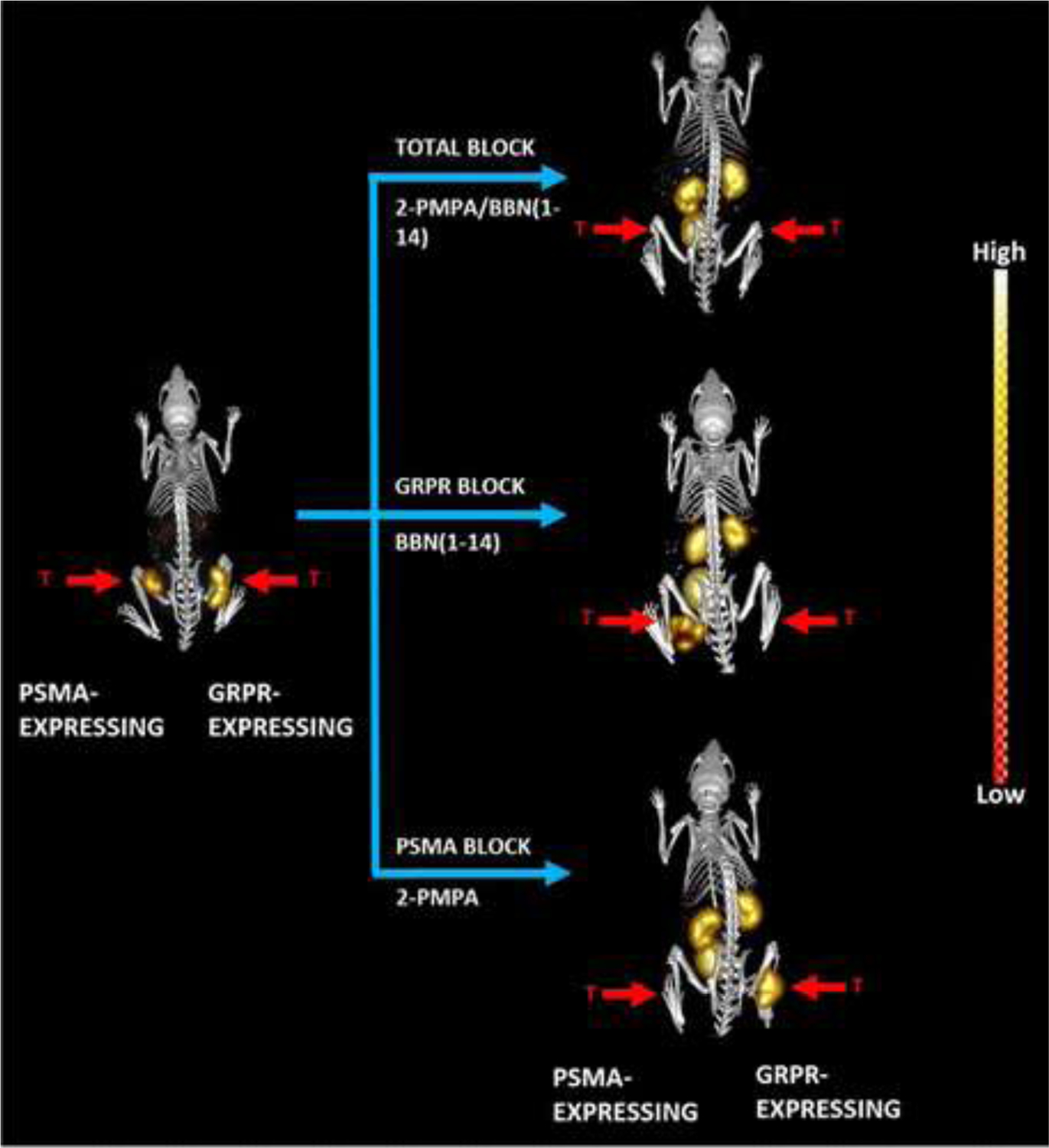 FIGURE 11.