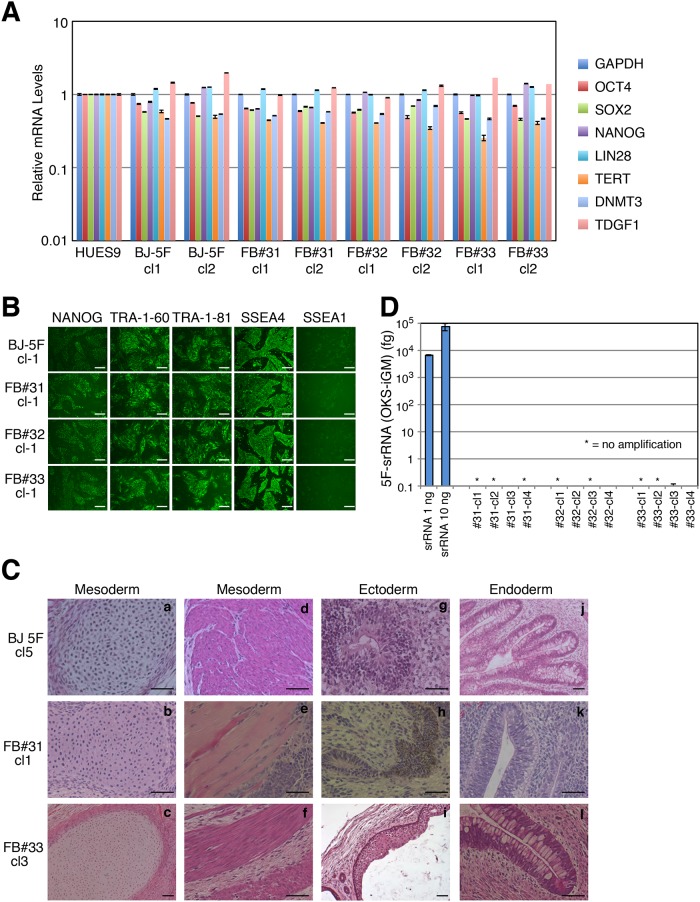 Fig 3