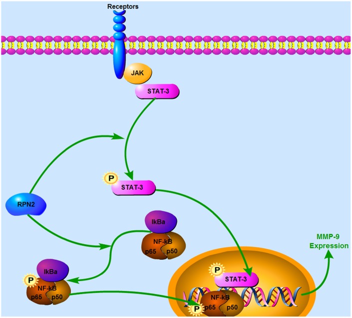 Figure 10