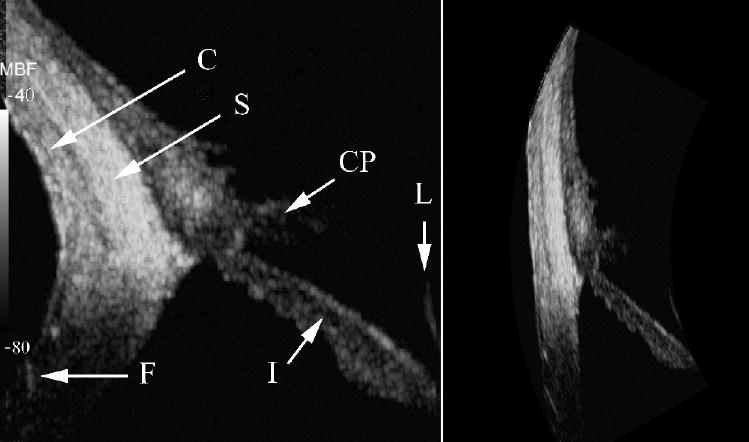 FIG. 7