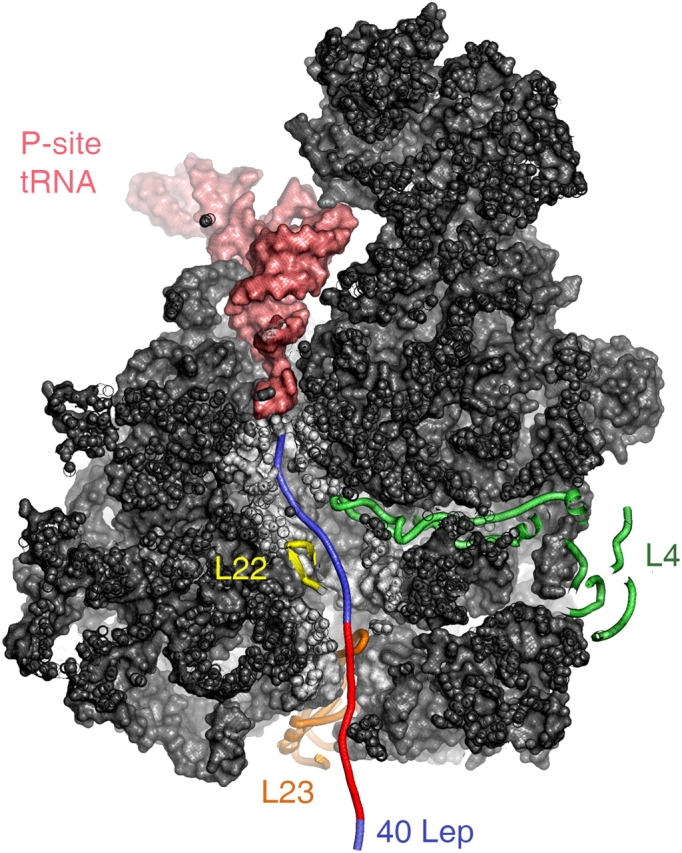 Figure 5.