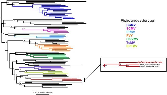 FIGURE 3