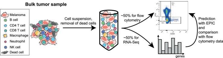 Figure 3—figure supplement 1.