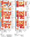 Figure 5—figure supplement 1.