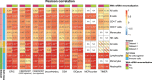 Figure 2—figure supplement 2.