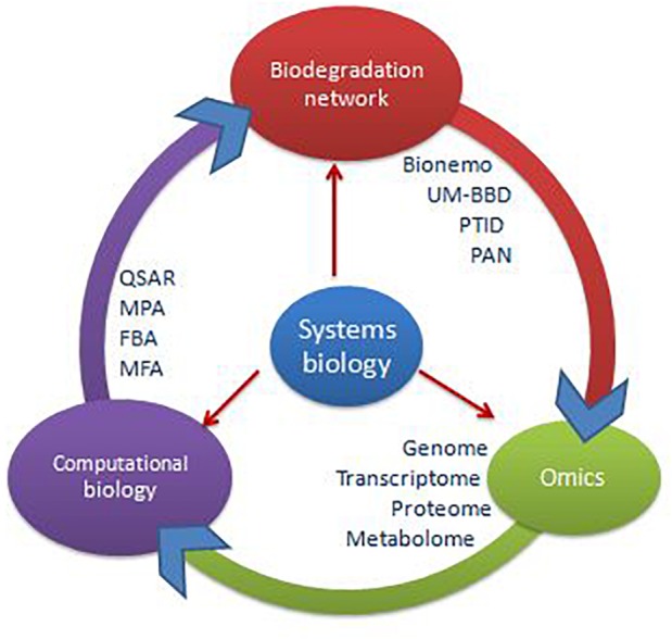 FIGURE 3