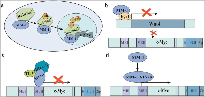 Fig. 6