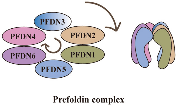 Fig. 1