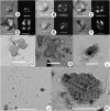 Fig. 3.
