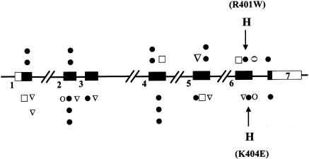 Figure  1