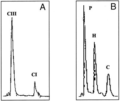 Figure  3