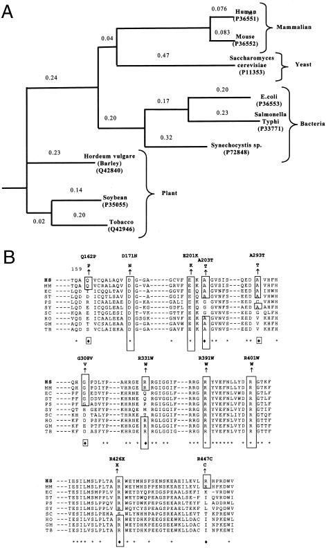 Figure  2